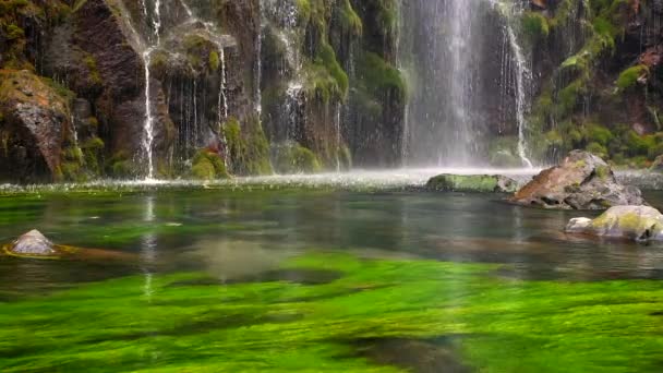 Natursköna vackra vattenfall och pool av färskvatten med grön seaplant — Stockvideo