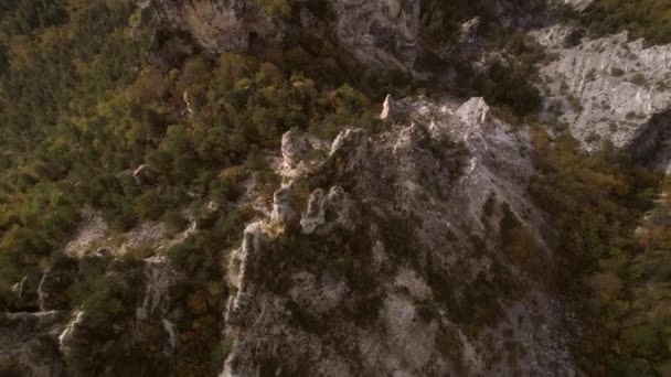 Drohnenschuss einer felsigen Säule im grünen Wald an einem Sommertag in Georgien — Stockvideo