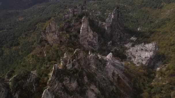 Drohnenschuss einer felsigen Säule im grünen Wald an einem Sommertag in Georgien. — Stockvideo