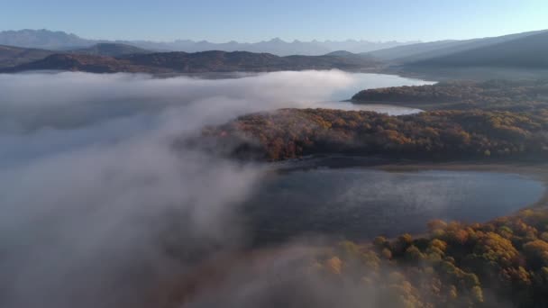 Drone tiro de um nevoeiro logo sobre o lago cercado por floresta de outono amarelo — Vídeo de Stock