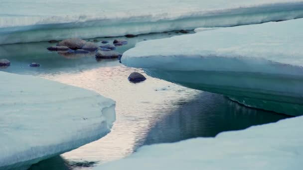 W jeziorze lub rzece, zbliżenie topniejącego lodu. — Wideo stockowe