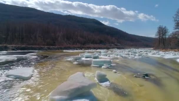 Пролетев над тающим ледяным покровом реки весной . — стоковое видео