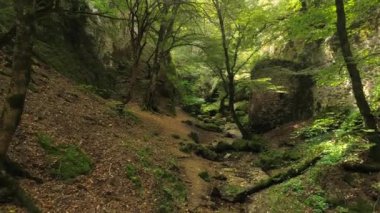 Gizemli yeşil orman ve kale ile Kanyon içinde uçan kamera