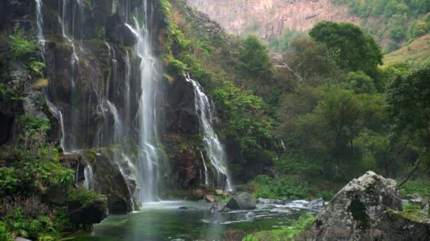 Scenic nature of beautiful waterfall and pool of fresh water with green seaplant — Stock Video