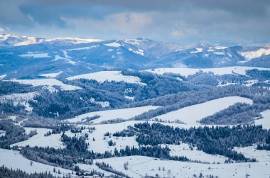 Ağaçlarda kar olan güzel kış manzarası