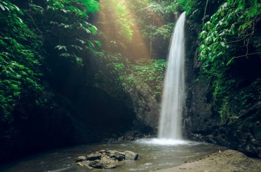 Endonezya, Bali 'deki tropikal yağmur ormanlarında güzel şelale