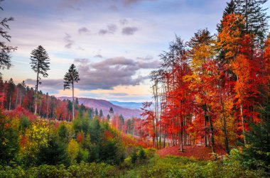Bulutlu bir günde sonbahar dağları