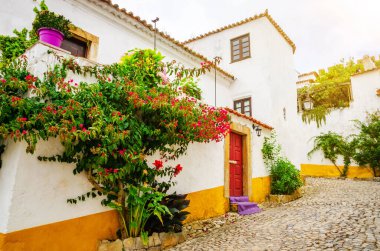 Yazın Portekiz 'in Obidos şehrinde güzel, rahat bir cadde.