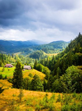 Panoramik dağ manzarası. Dağlarda yaz 