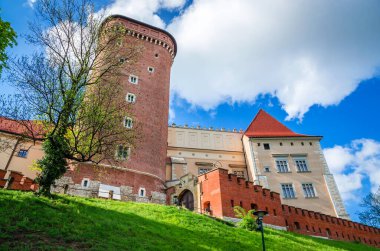 Krakow Polonya 'daki güzel Wawel kalesi. 