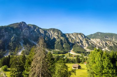 Alp dağlarının yaz manzarası