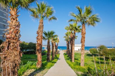 Kıbrıs 'ın Famagusta kenti yakınlarında gün batımında güzel bir sahil