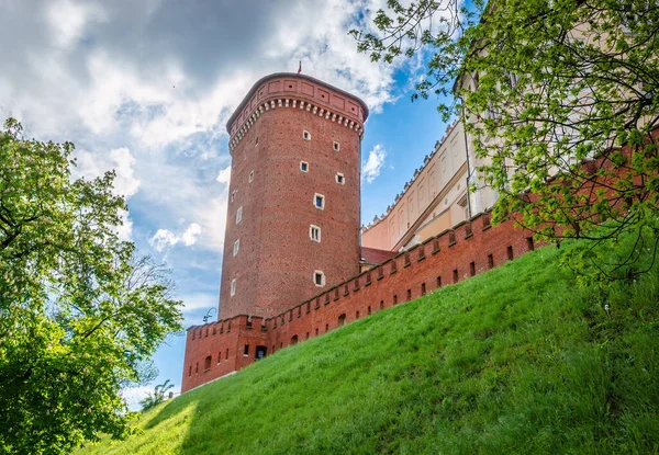 Krakow Polonya 'daki güzel Wawel kalesi. 