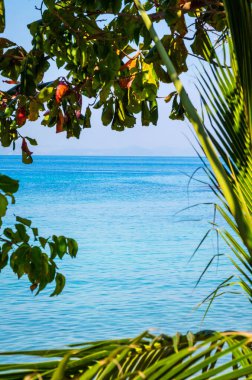 Ko Lan 'ın güzel tropik plajı, Pattaya, Thailan yakınlarında bir ada.