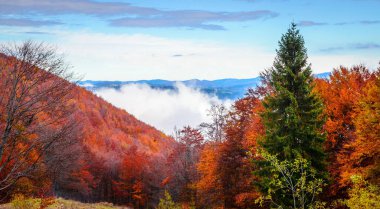 Bulutlu bir günde sonbahar dağları
