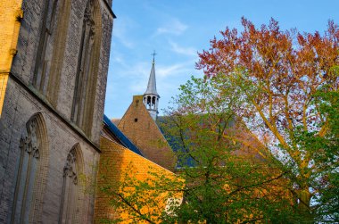 Hollanda 'nın Ede şehrindeki eski kilise. Gelderland, Hollanda.