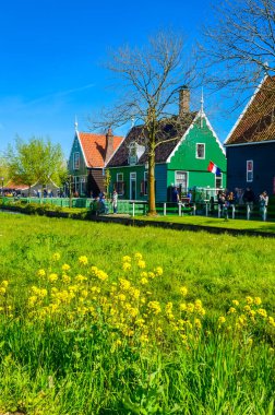 Geleneksel Hollanda yel değirmenleri ve Zaanse Schans, Hollanda, Avrupa 'daki kanal yakınlarındaki evler