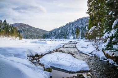 Ağaçlarda kar ve nehir olan güzel kış manzarası