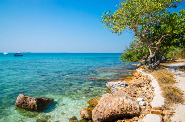 Ko Lan 'ın güzel tropik plajı, Pattaya, Thailan yakınlarında bir ada.