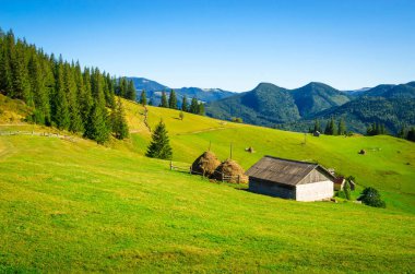 Panoramik dağ manzarası. Dağlarda yaz 