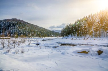 Ağaçlarda kar ve nehir olan güzel kış manzarası