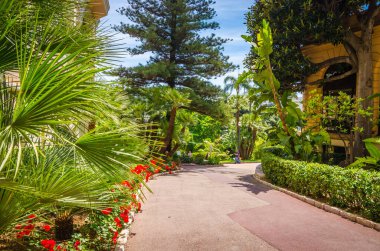 Monte Carlo, Monako 'da güzel bir park.