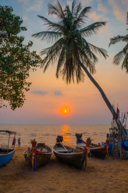 Geleneksel uzun kuyruk teknesi gün batımında Pattaya sahilinde, Tayland