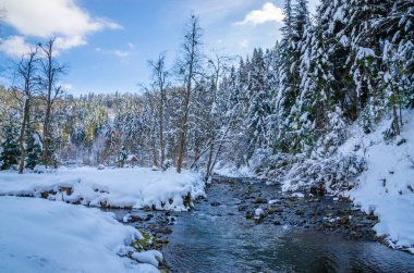 Ağaçlarda kar ve nehir olan güzel kış manzarası