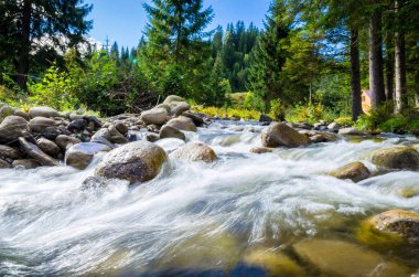 Güzel dağ nehri. Dağlarda yaz 