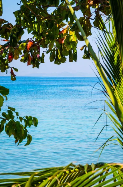 Ko Lan 'ın güzel tropik plajı, Pattaya, Thailan yakınlarında bir ada.