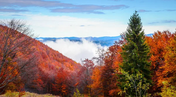 Bulutlu bir günde sonbahar dağları