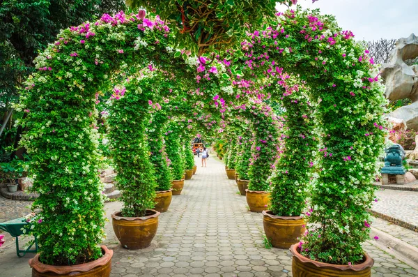 Güzel bir park tasarımı. Bahçe çiçekleri. Yaz zamanı.
