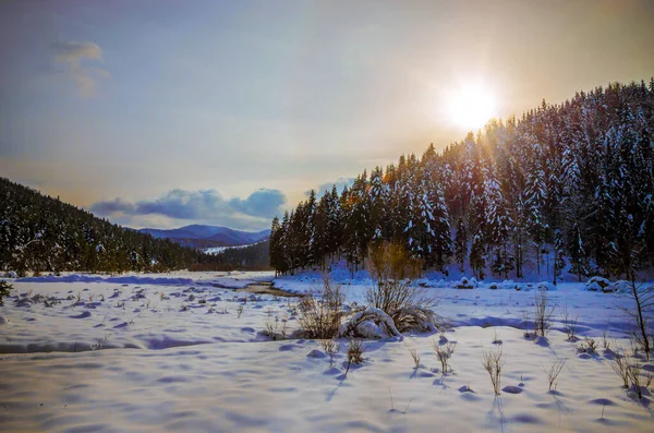 Ağaçlarda kar ve nehir olan güzel kış manzarası