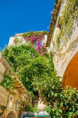 bottom view of an ancient house covered with plants against a blue sky