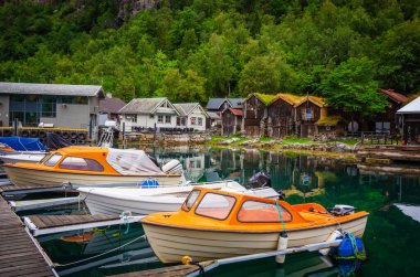 Geiranger kasabasındaki Geirangerfjord sahili ve limanı, 