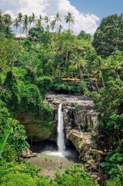Bali 'deki tropikal yağmur ormanlarında güzel bir Tegenungan şelalesi.