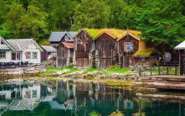 Geirangerfjord 'un kıyısına bakın Geiranger, 1.