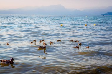 Garda Gölü, İtalya'nın güzel sahil