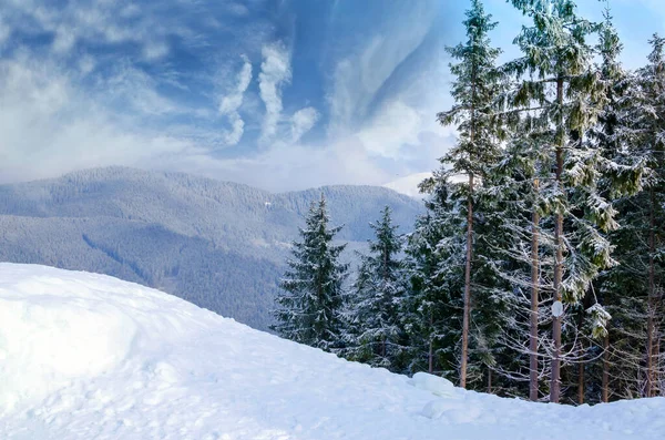 Ağaçlar dağlarda güzel kış manzarası kar ile kaplı