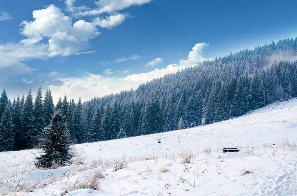 Ağaçlarla kaplı dağları olan güzel kış manzarası