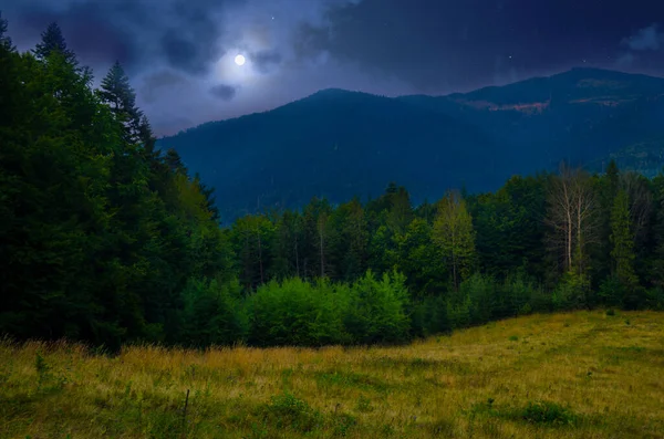 Arkasında bir dağ olan güzel bir manzara.
