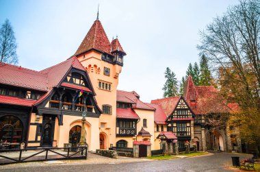 Sinaia, Carpathian 'da Peles kalesi yakınlarındaki tipik evler 