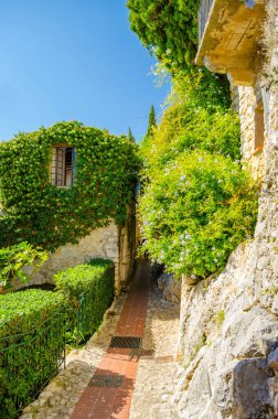 beautiful view of an ancient house covered with plants