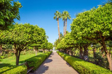 Marakeş, Fas 'taki eski Medine' de güzel bir park.
