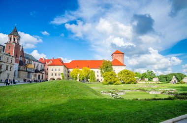 Krakow Polonya 'daki güzel Wawel kalesi. 