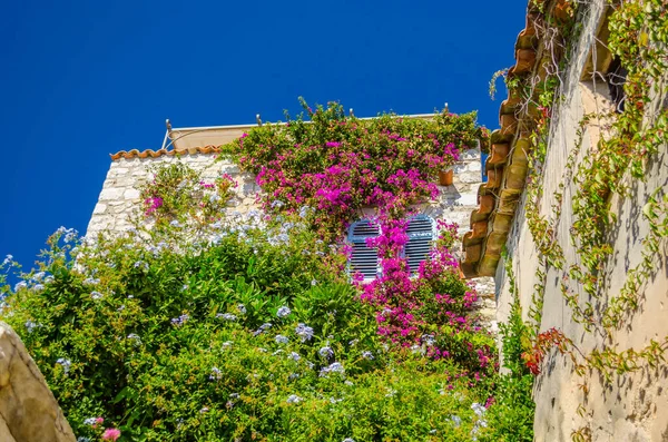 bottom view of an ancient house covered with plants against a blue sky