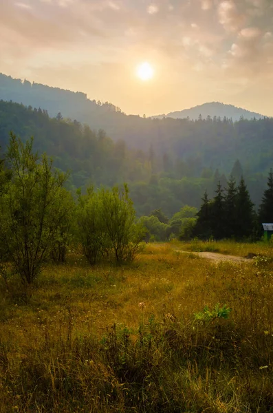 Ormanlı dağ yamaçları Gün batımında 