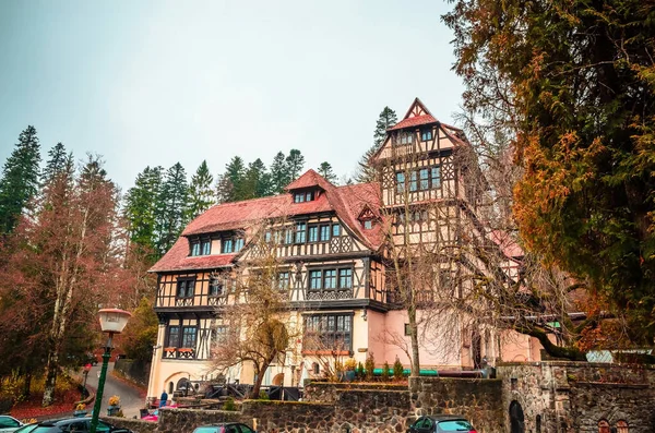 Sinaia, Carpathian 'da Peles kalesi yakınlarındaki tipik evler 