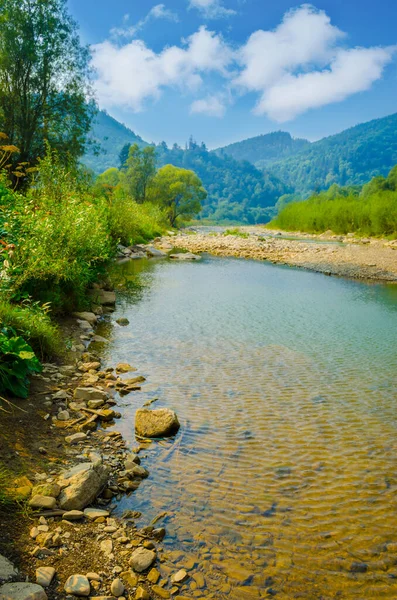 Berrak suyu olan güzel dağ nehri manzarası