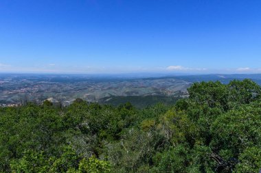 Bahçelerin tepesinden panoramik bir bakış açısı.